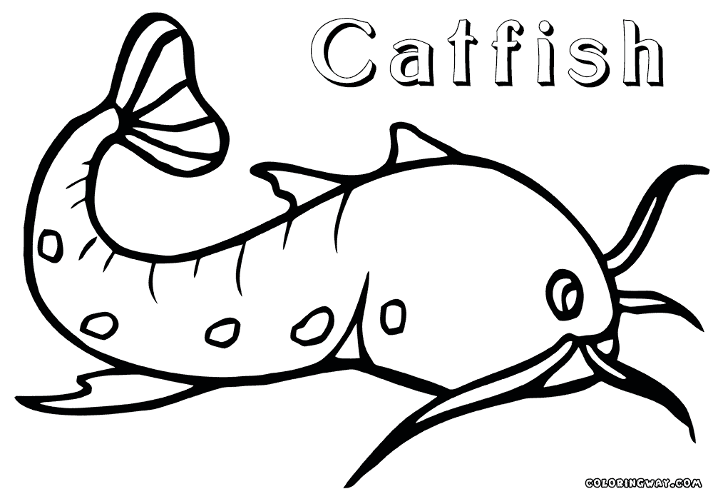 catfish coloring page blue catfish coloring page free printable coloring pages catfish coloring page 