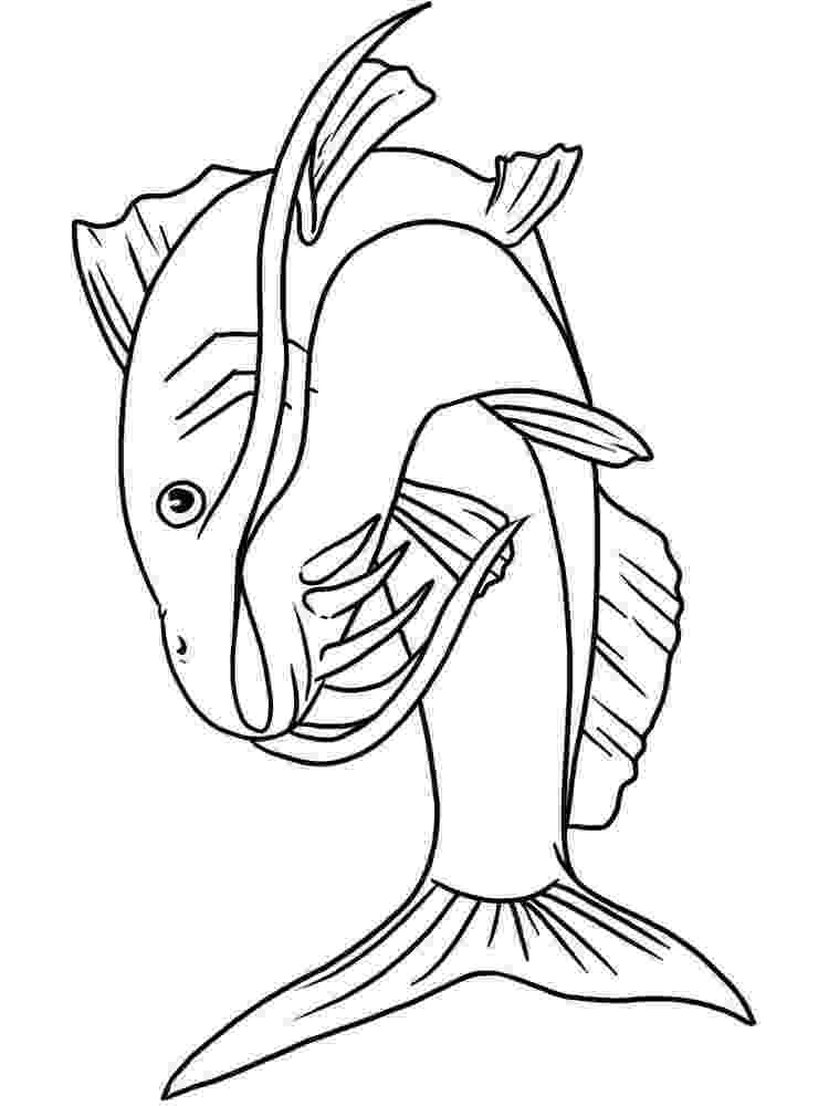 catfish coloring page bullhead catfish coloring page free printable coloring pages catfish page coloring 