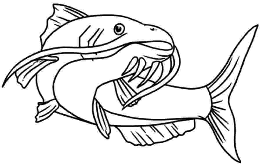 catfish coloring page catfish 18 coloring page supercoloringcom sketch coloring page coloring catfish page 