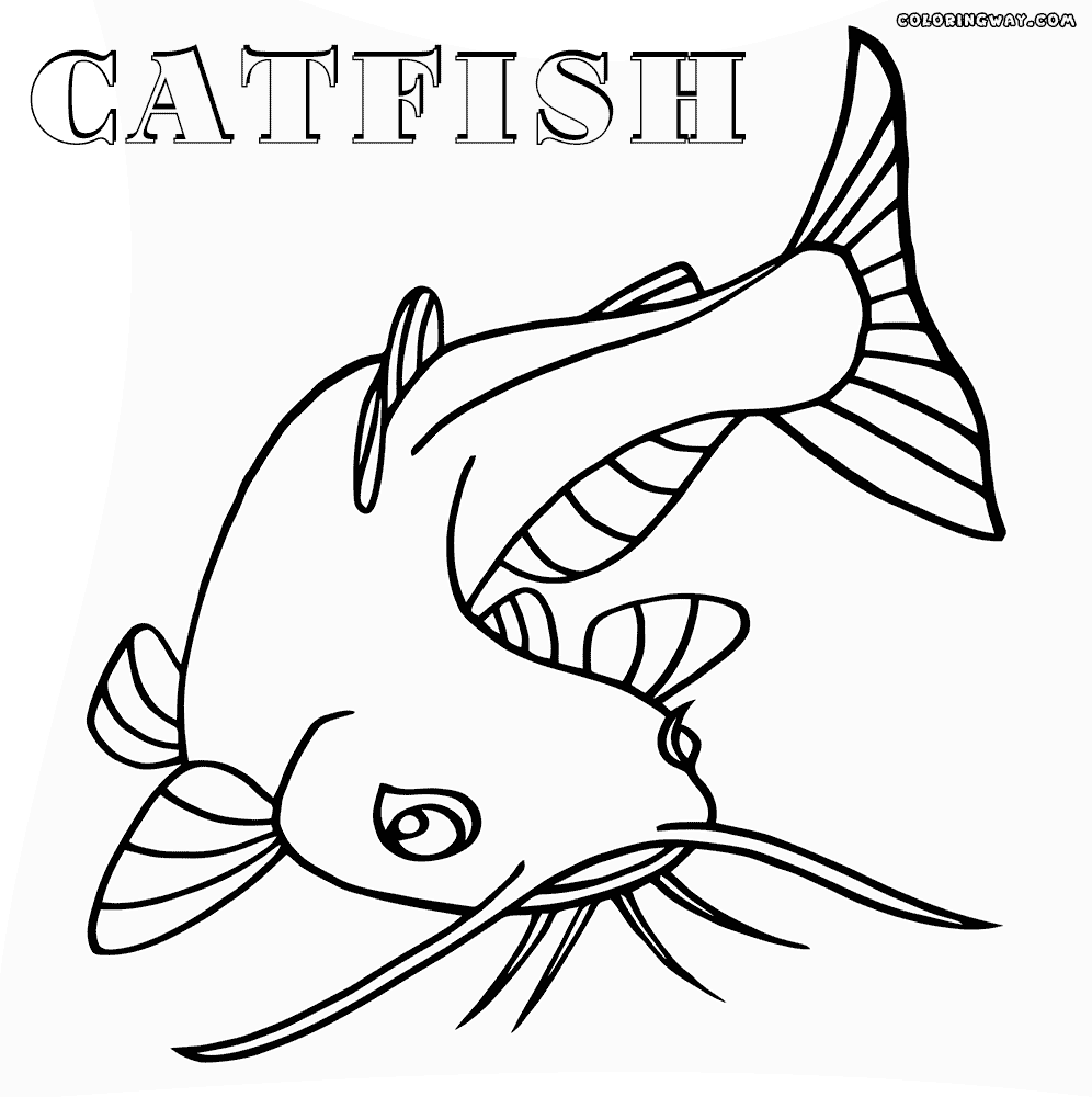 catfish coloring page catfish 8 coloring page free printable coloring pages coloring page catfish 