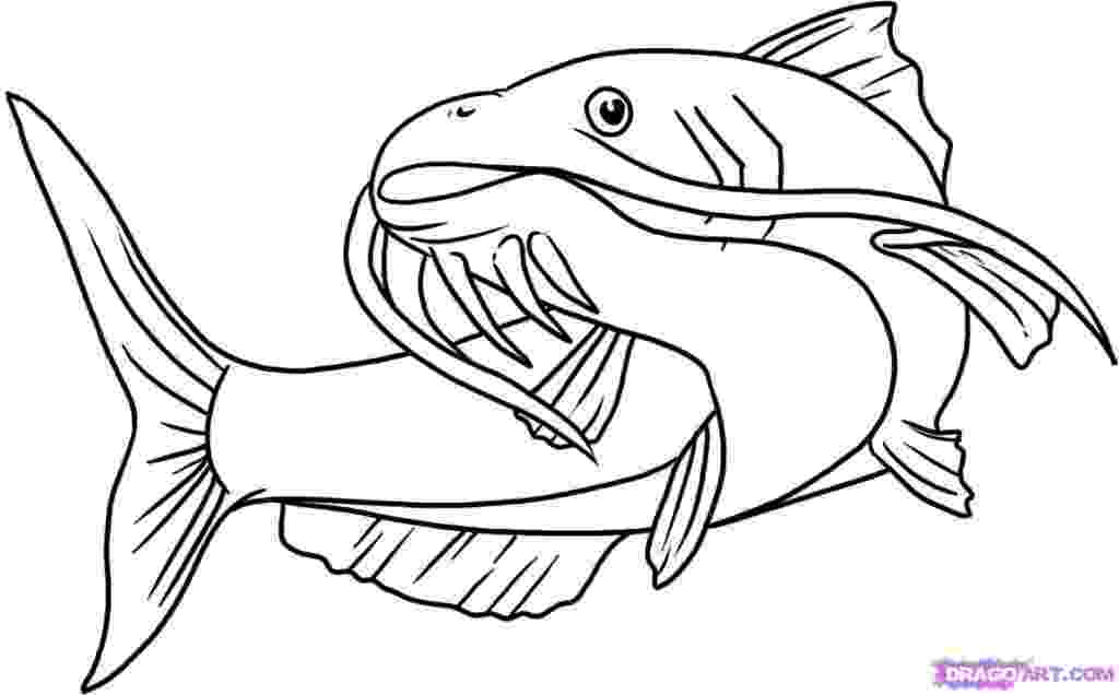 catfish coloring page catfish clip art clipartioncom page coloring catfish 