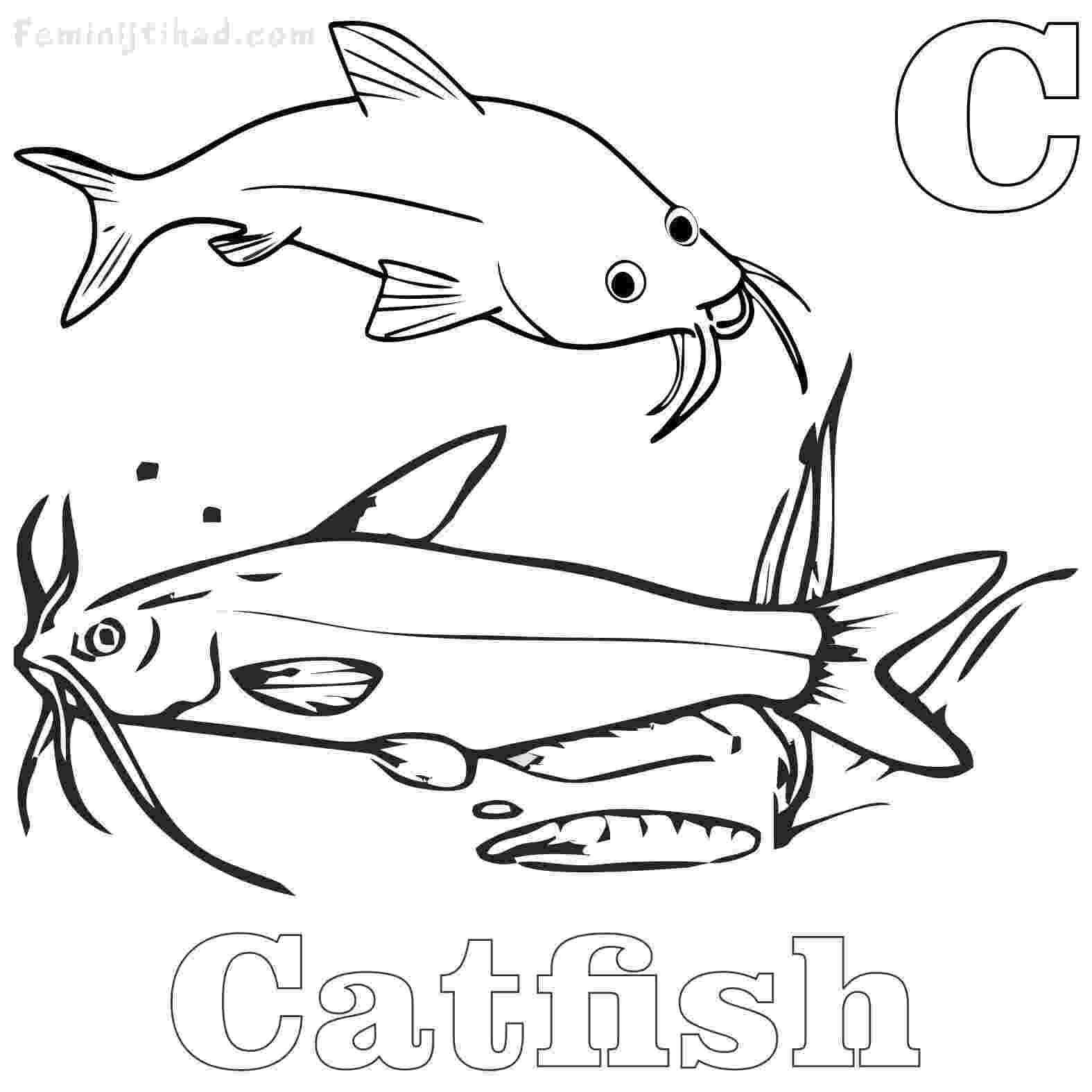 catfish coloring page catfish coloring page 1 catfish page coloring 