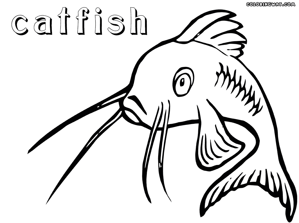 catfish coloring page catfish coloring pages best place to color catfish page coloring 