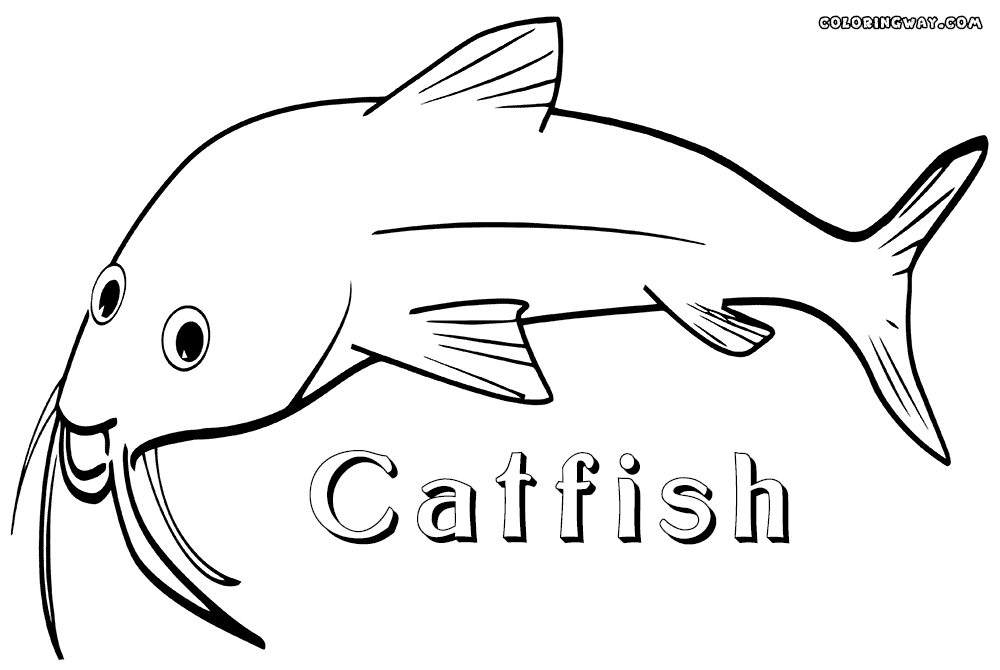 catfish coloring page catfish coloring pages coloring pages to download and print catfish page coloring 