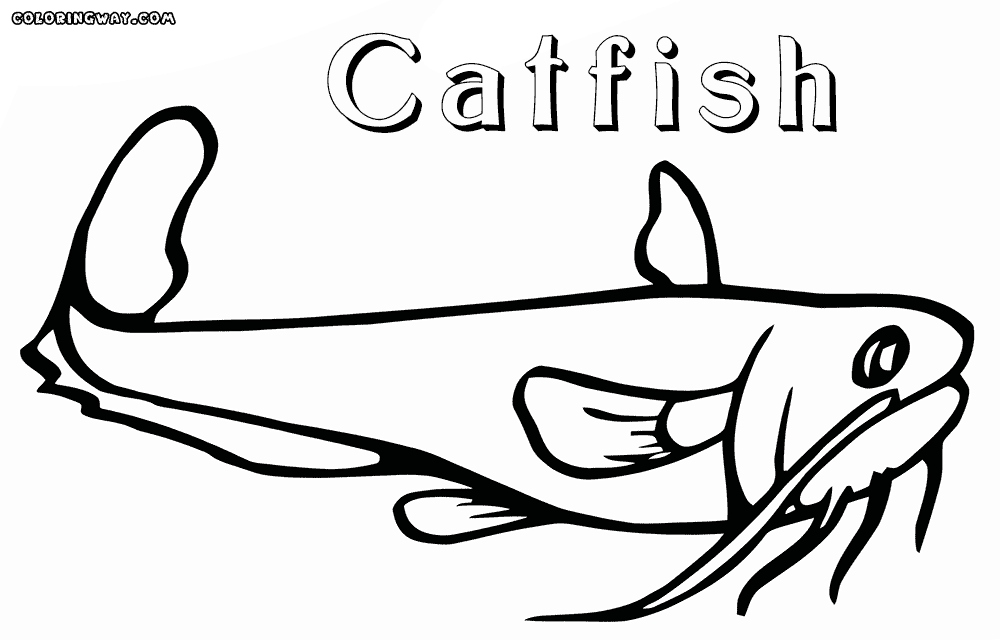 catfish coloring page catfish coloring pages coloring pages to download and print page coloring catfish 