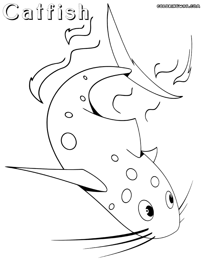 catfish coloring page catfish drawing at getdrawingscom free for personal use page catfish coloring 