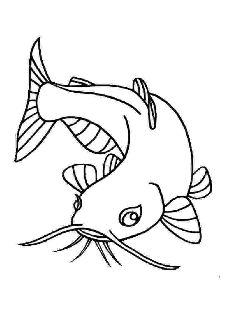 catfish coloring page catfish drawing images at getdrawingscom free for coloring catfish page 