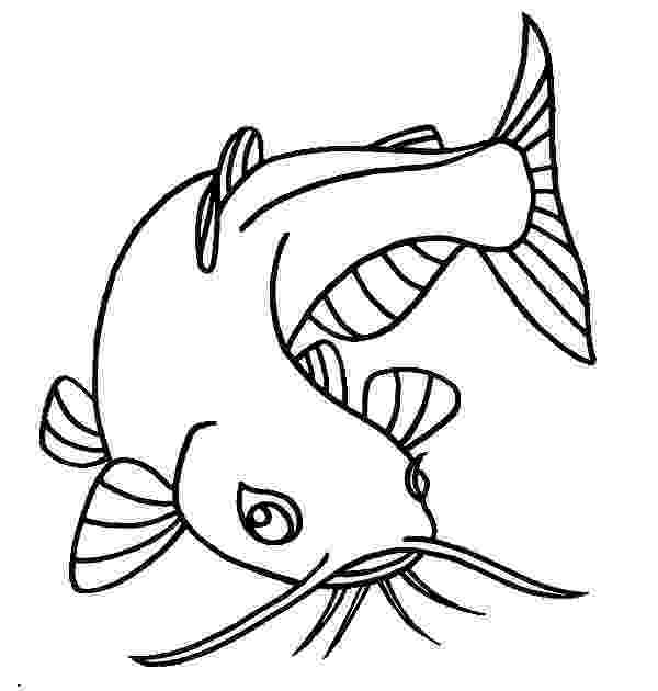 catfish coloring page find the best coloring pages resources here part 41 catfish page coloring 