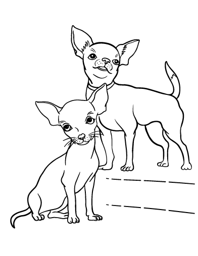 chihuahua colouring pages pin by muse printables on coloring pages at coloringcafe pages chihuahua colouring 