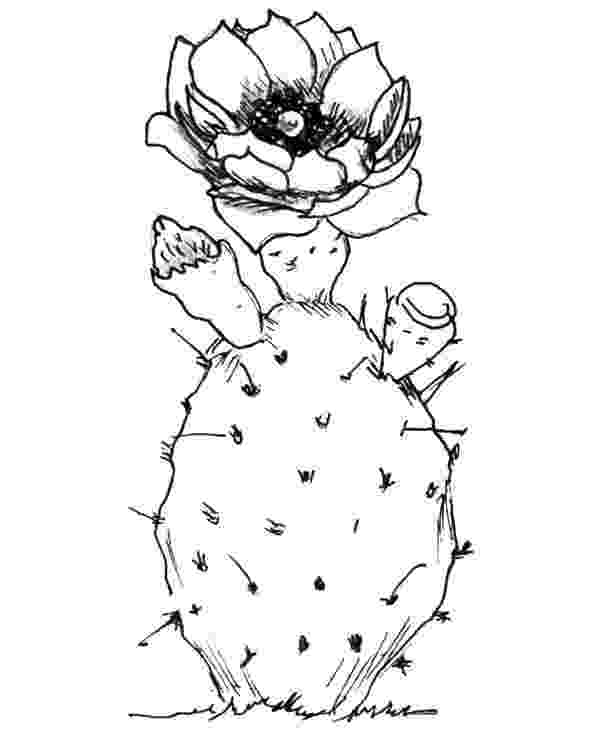 christmas cactus coloring page christmas cactus coloring pages no prep holiday craft by coloring christmas cactus page 