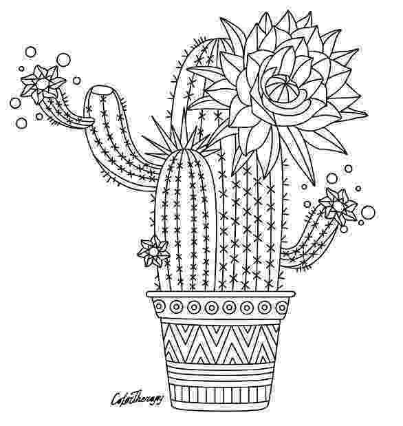 christmas cactus coloring page printable cactus coloring sheet picture coloring page cactus christmas 