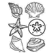 clam coloring page 11 best coloring pages images on pinterest coloring clam page coloring 