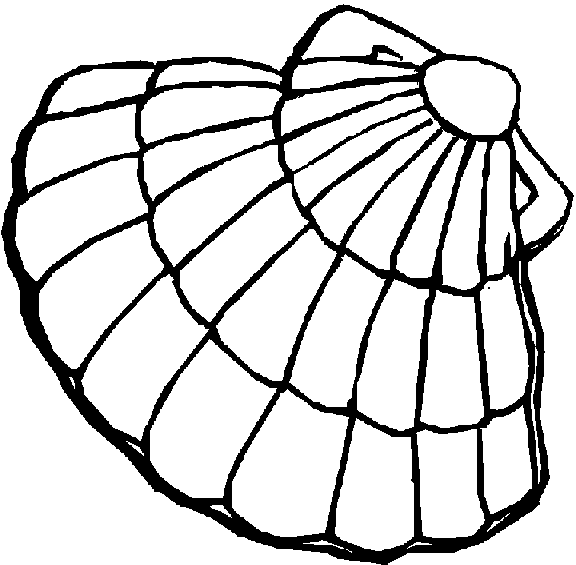 clam coloring page clam coloring page clam coloring page 