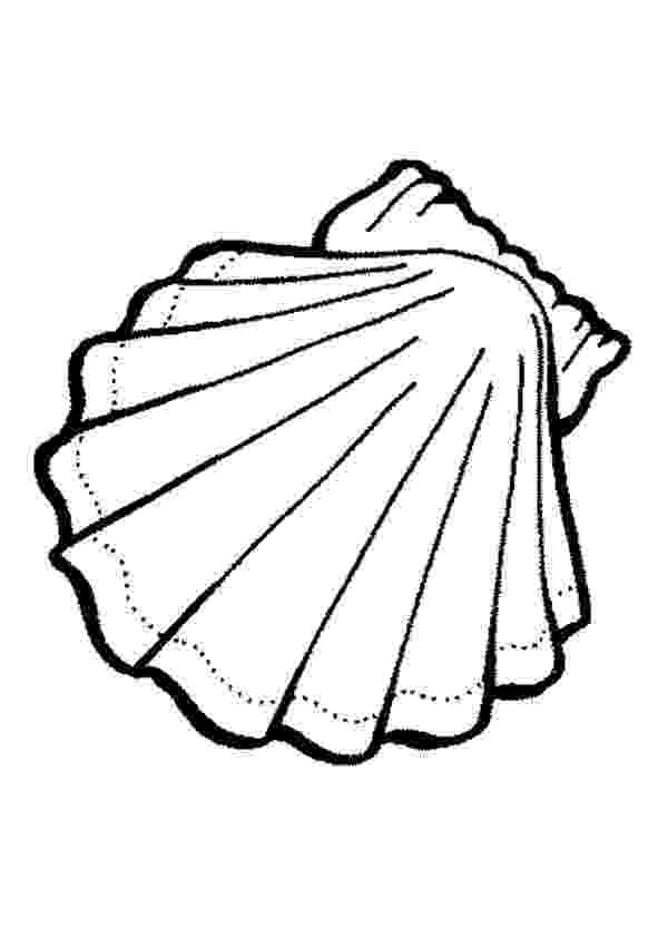 clam coloring page clam shell cutout seashell babyshower pinterest clam coloring page clam 