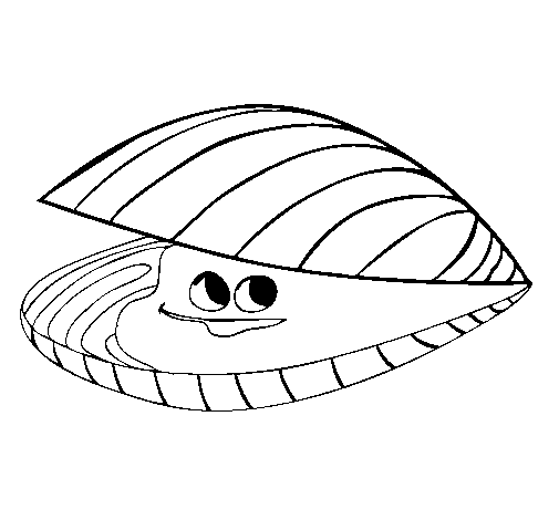 clam coloring page collection of clam clipart free download best clam coloring page clam 