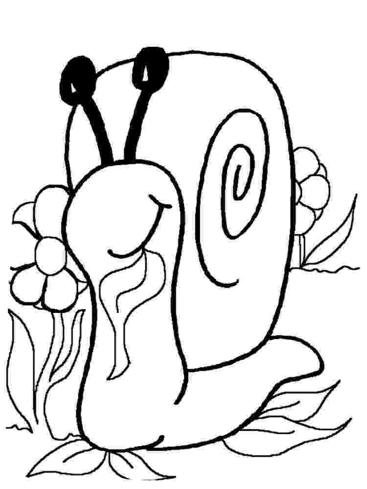 color page snail coloring pages to download and print for free color page 