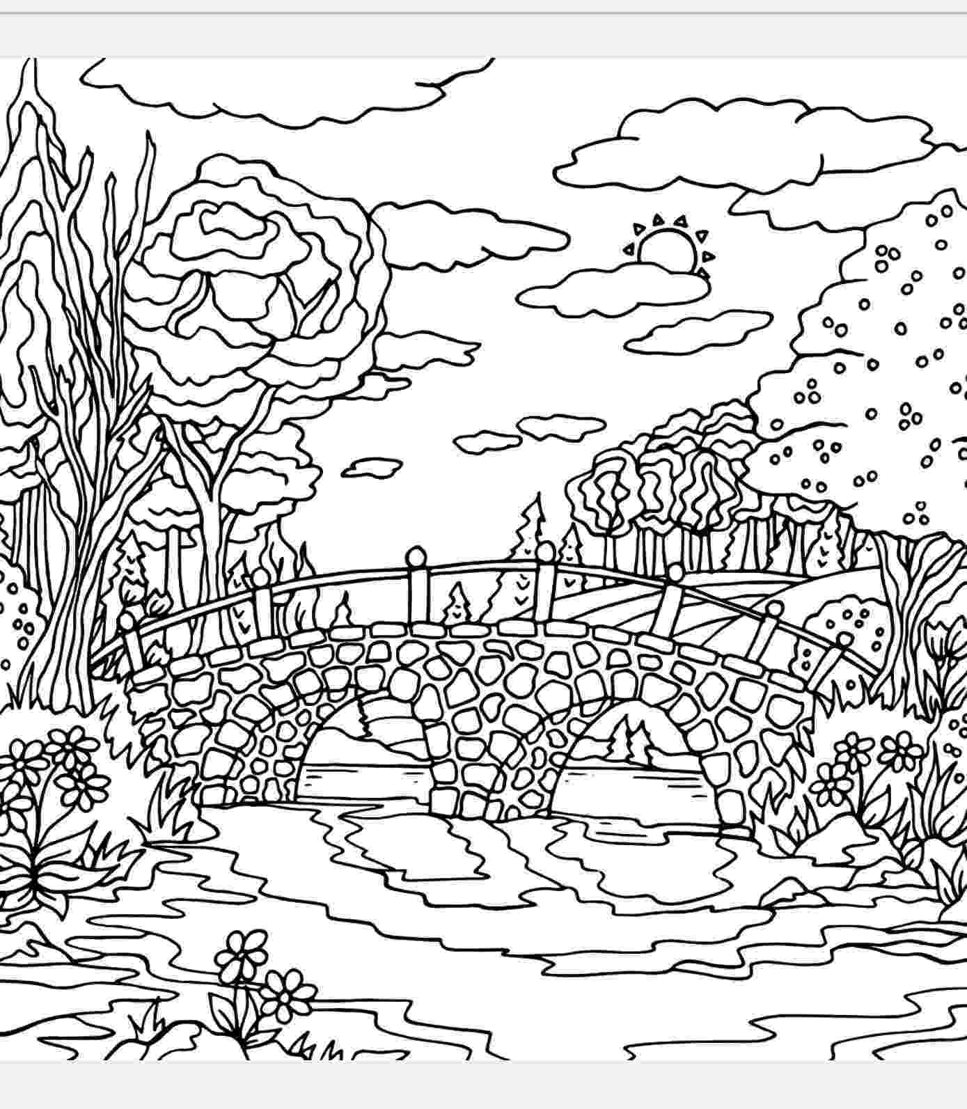coloring book editor pin by erlene davis on adult coloring coloring pages editor coloring book 