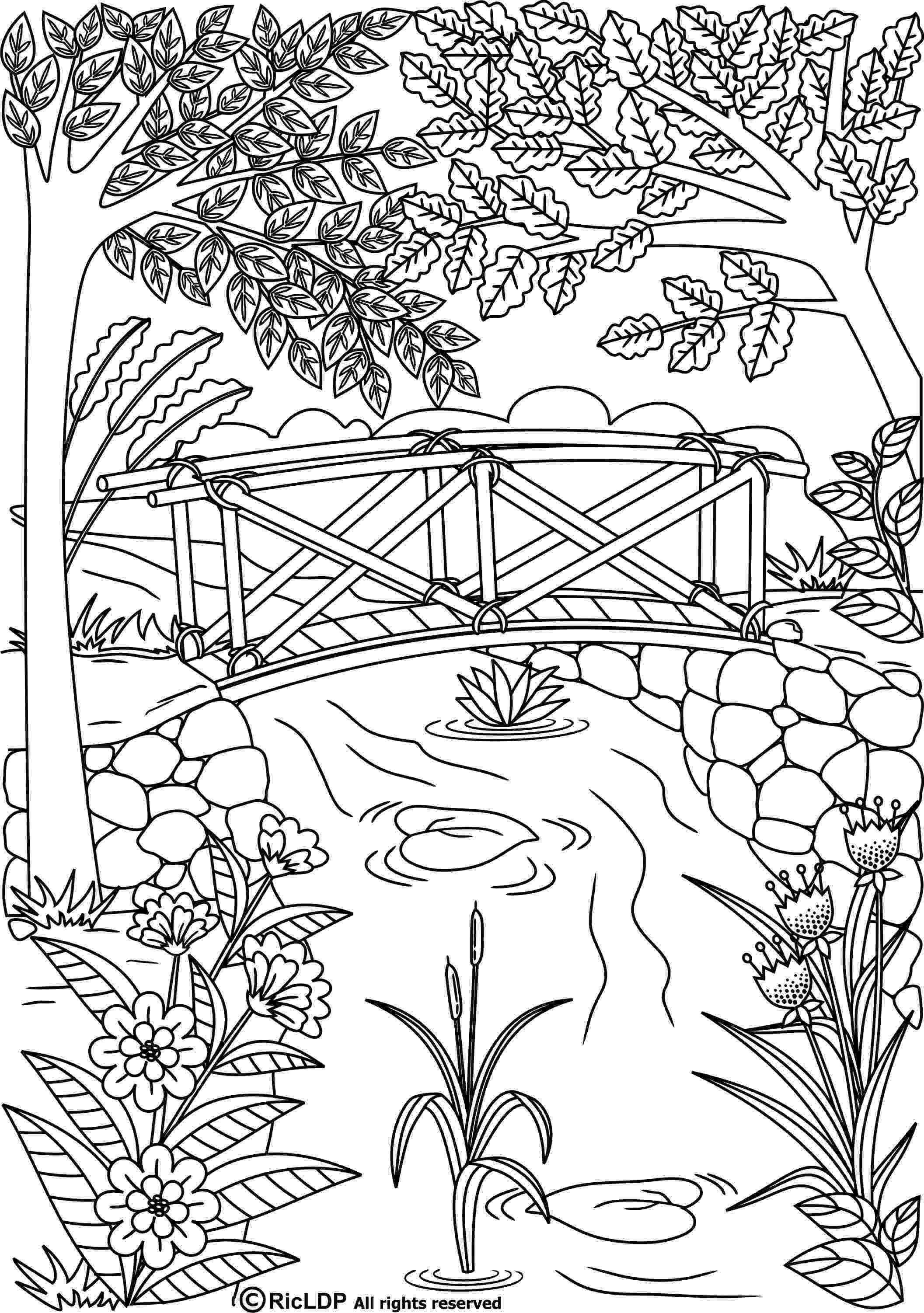 coloring book for grown ups free download coloring book for grown ups pesquisa do google grown for download ups book coloring free 