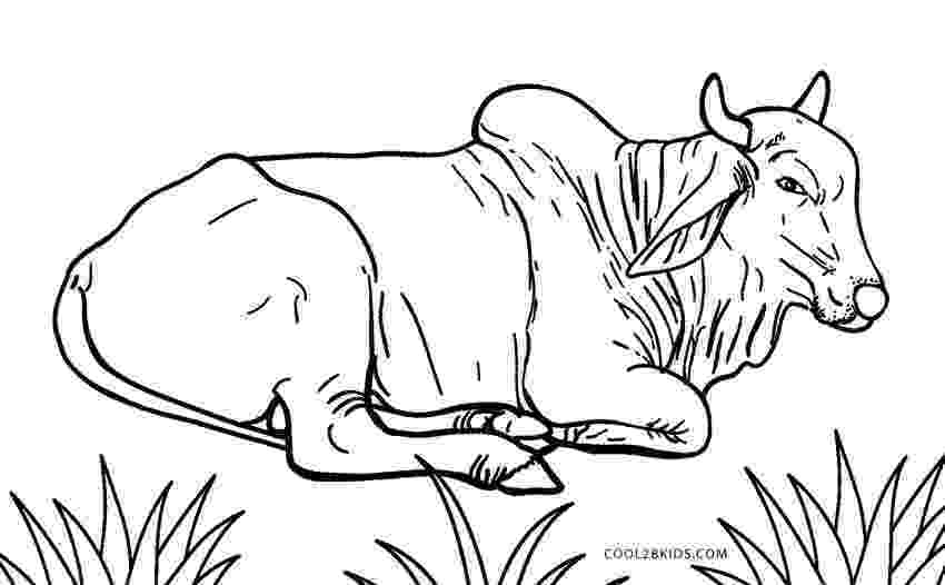 coloring book pages cow cute cow animal coloring books for kids drawing cow book coloring pages 