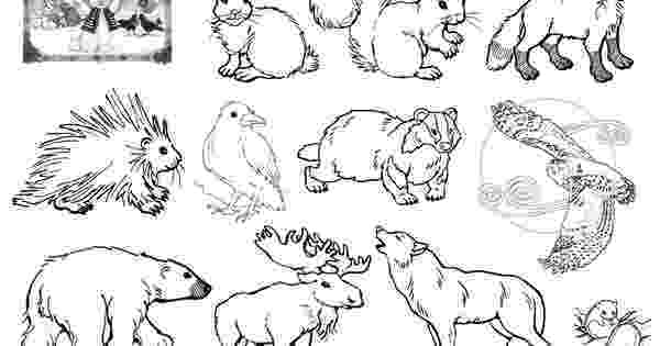 coloring book playlist the animals santa by jan brett an omazing kids yoga coloring book playlist 