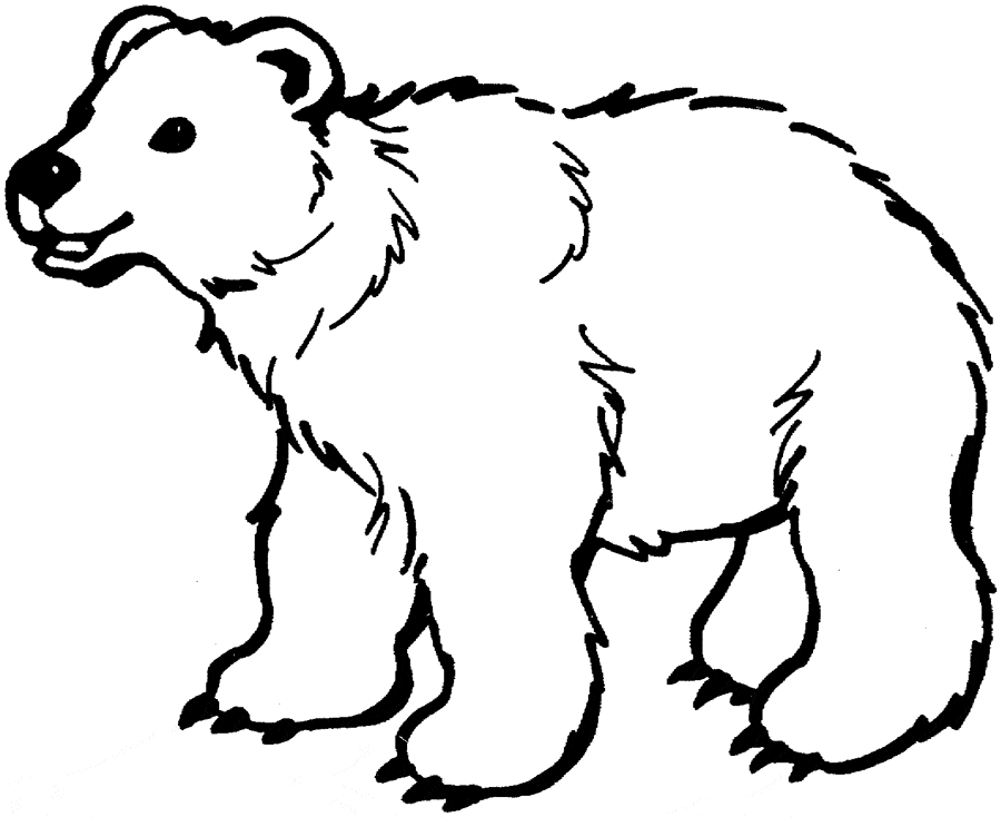 coloring book polar bear early play templates polar bear color in sheets coloring polar bear book 