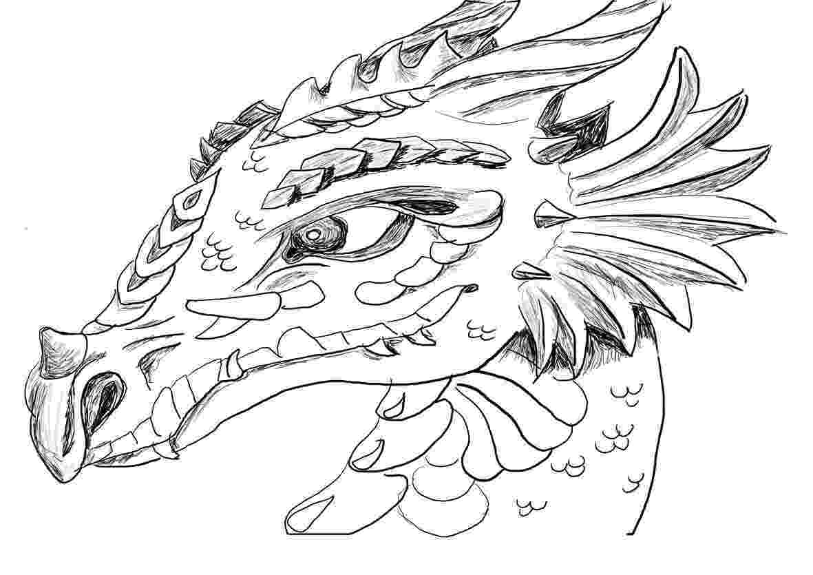 coloring dragon top 25 free printable dragon coloring pages online dragon coloring 