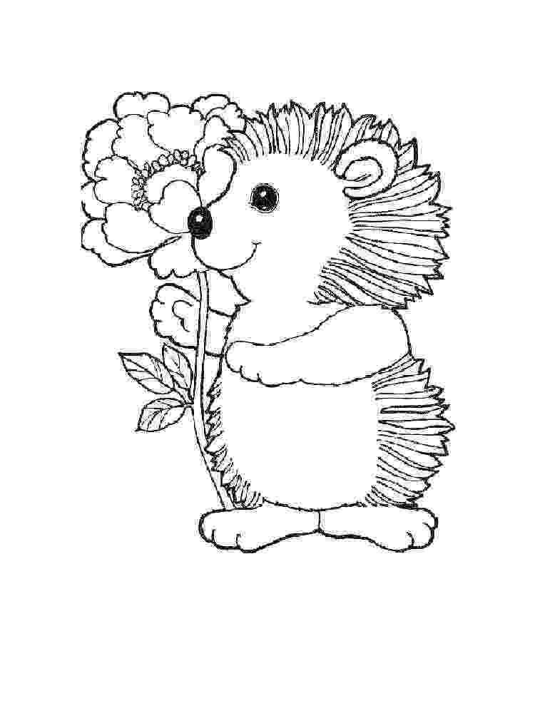coloring hedgehog cute hedgehog coloring page free printable coloring pages coloring hedgehog 