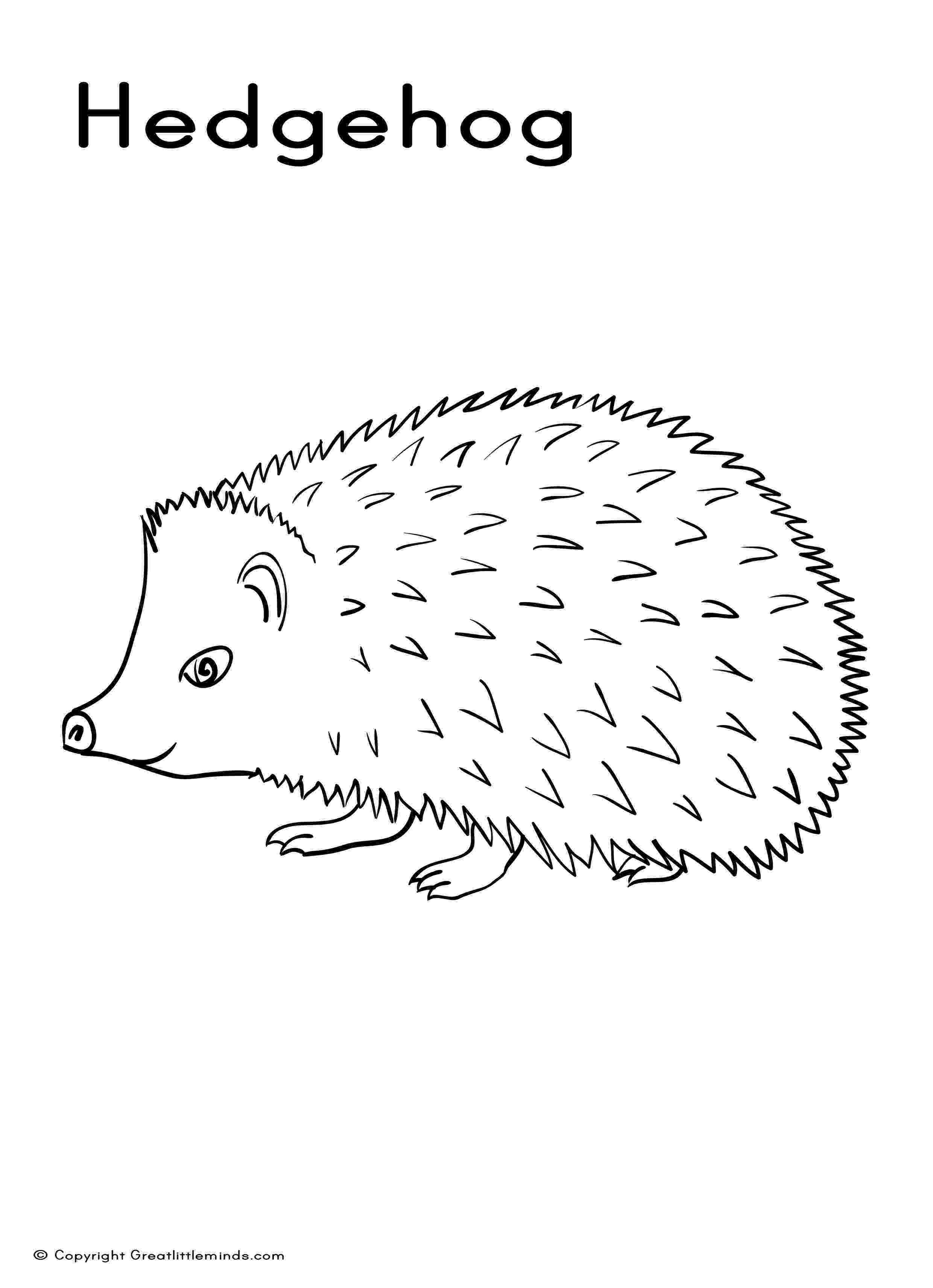 coloring hedgehog hedgehog coloring page coloring page pinterest coloring hedgehog 
