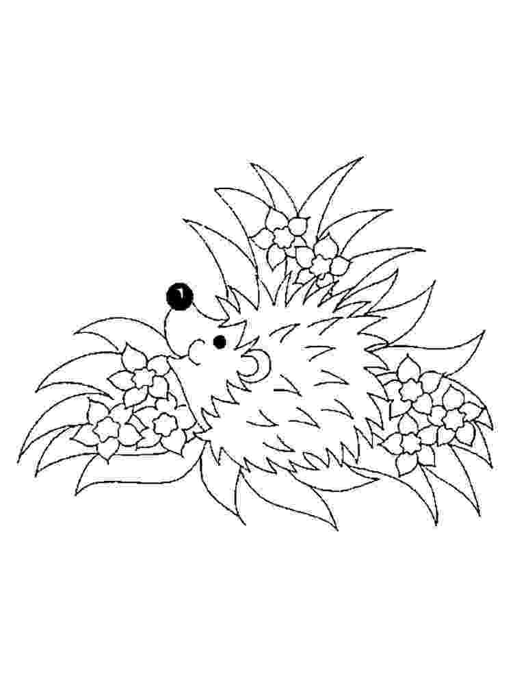 coloring hedgehog hedgehog coloring pages download and print hedgehog coloring hedgehog 