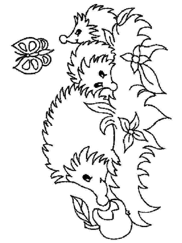 coloring hedgehog hedgehog on the meadow coloring pages coloring sun hedgehog coloring 