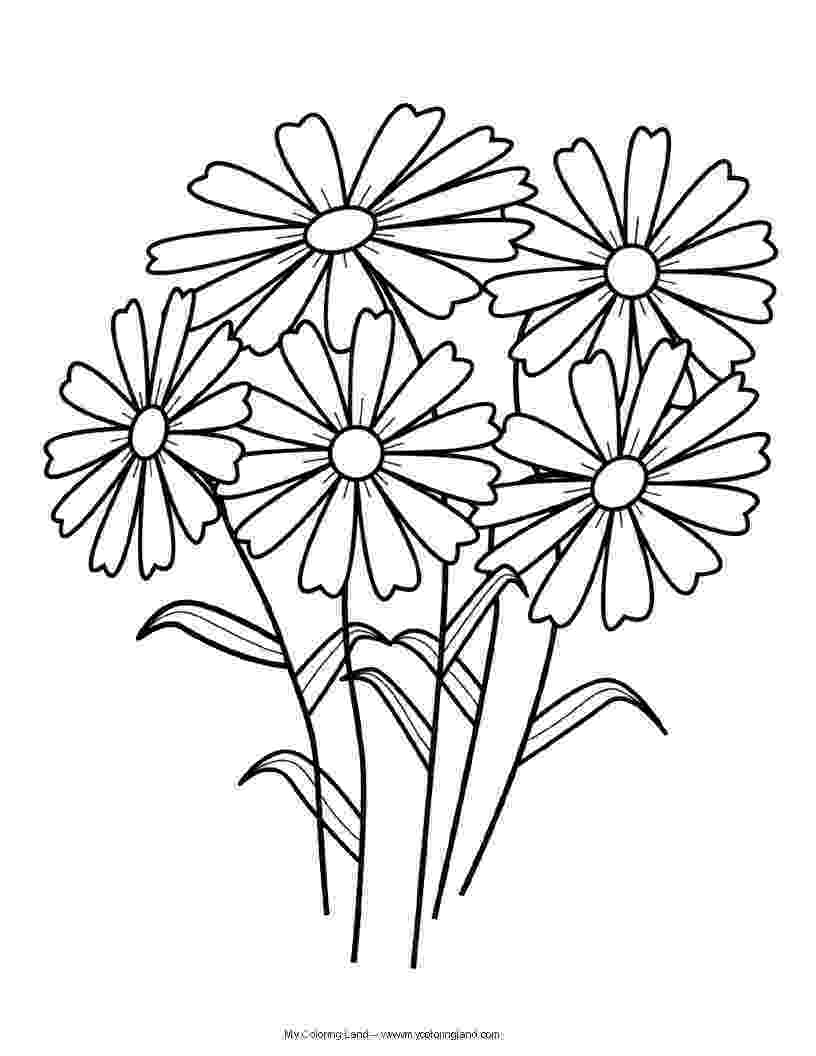 coloring images of flowers flower my coloring land of images flowers coloring 