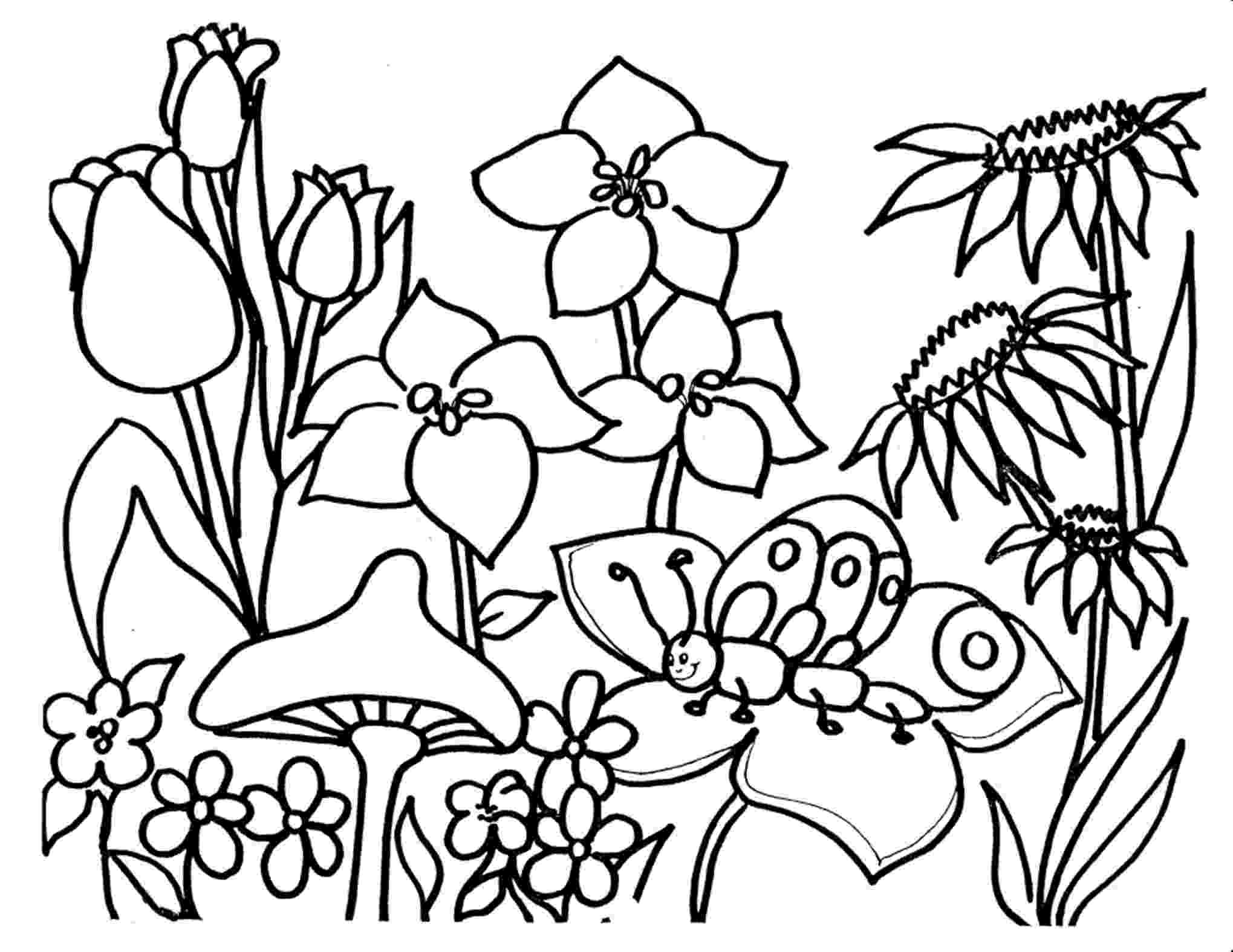 coloring images of flowers free printable flower coloring pages for kids cool2bkids images of coloring flowers 