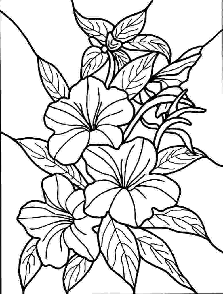 coloring images of flowers simple flower coloring pages getcoloringpagescom images of flowers coloring 