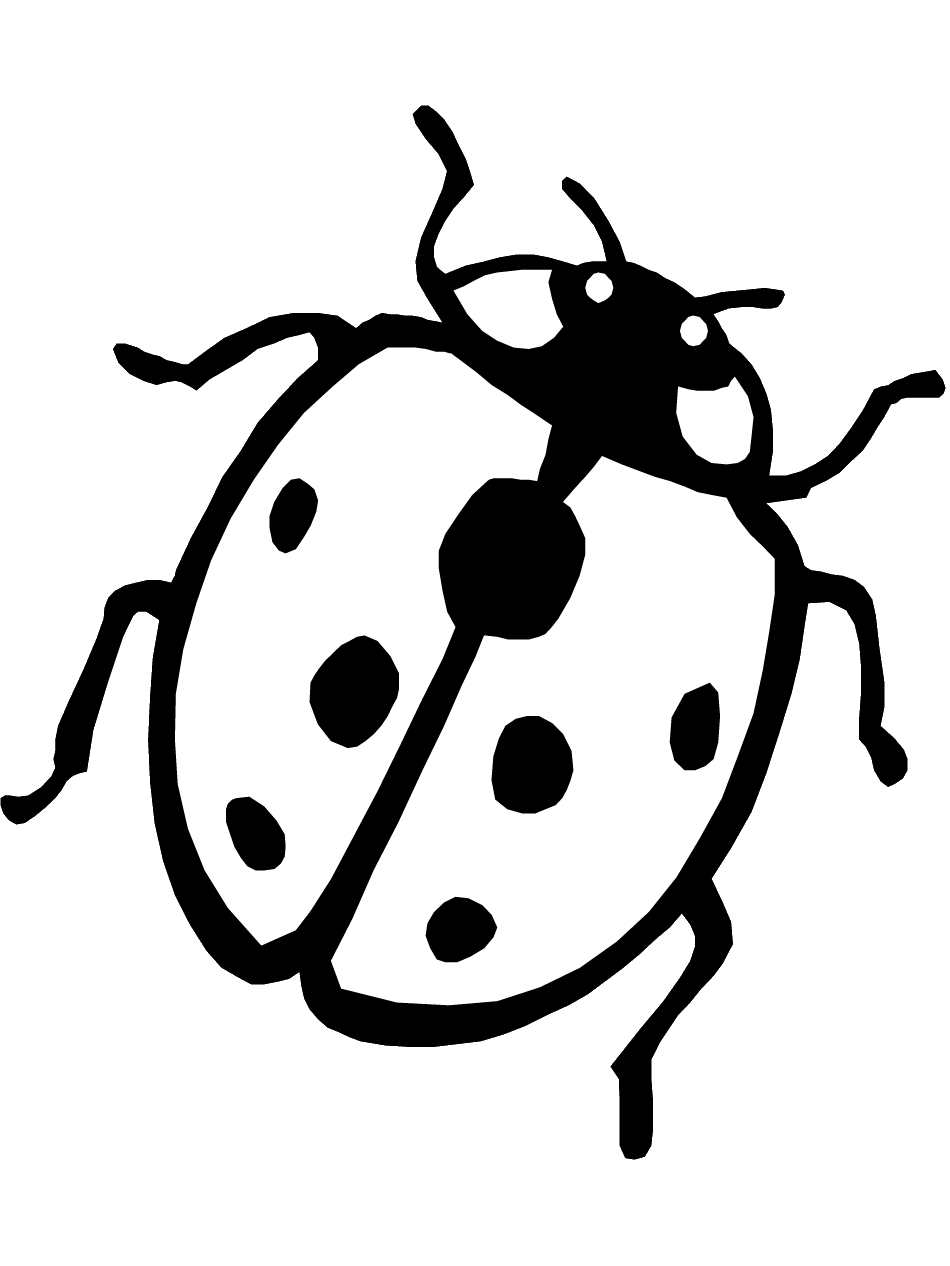 coloring page ladybug printable bug coloring pages for kids cool2bkids ladybug coloring page 