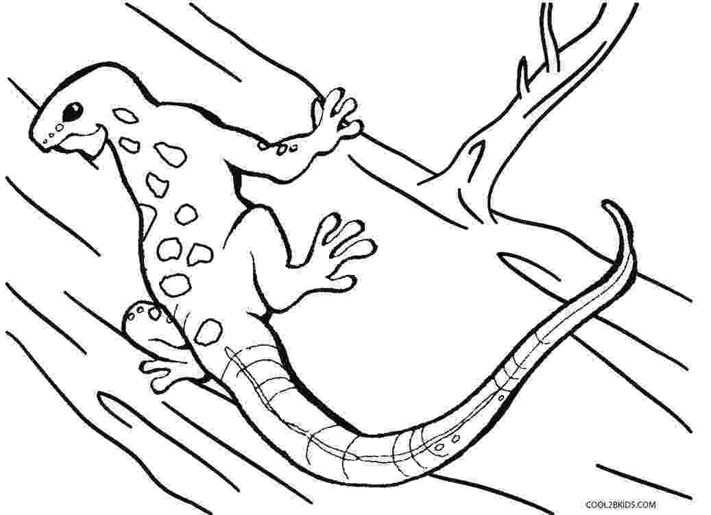 coloring page lizard free printable lizard coloring pages for kids animal place coloring lizard page 