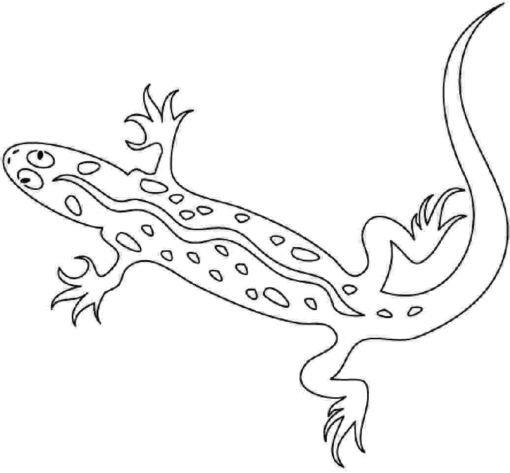 coloring page lizard free printable lizard coloring pages for kids animal place page coloring lizard 1 1