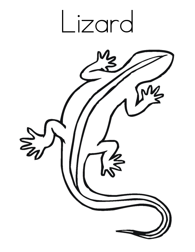 coloring page lizard lizard cartoon drawing at getdrawingscom free for lizard coloring page 