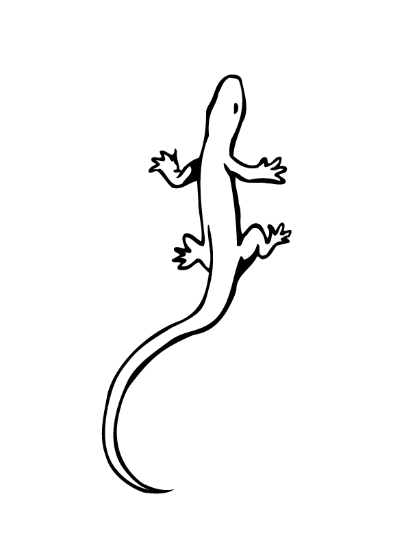 coloring page lizard lizard coloring pages to download and print for free lizard coloring page 
