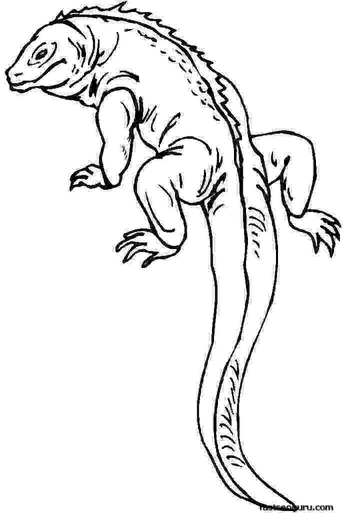 coloring page lizard lizard coloring pages to download and print for free lizard page coloring 