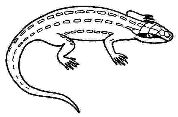 coloring page lizard lizard coloring pages to download and print for free page coloring lizard 1 1
