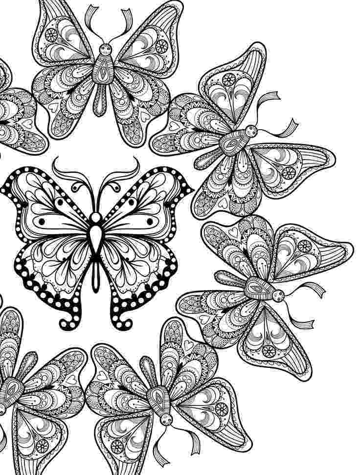 coloring pages for adults butterflies 110 best butterflies coloring pages for adults images on for coloring pages adults butterflies 