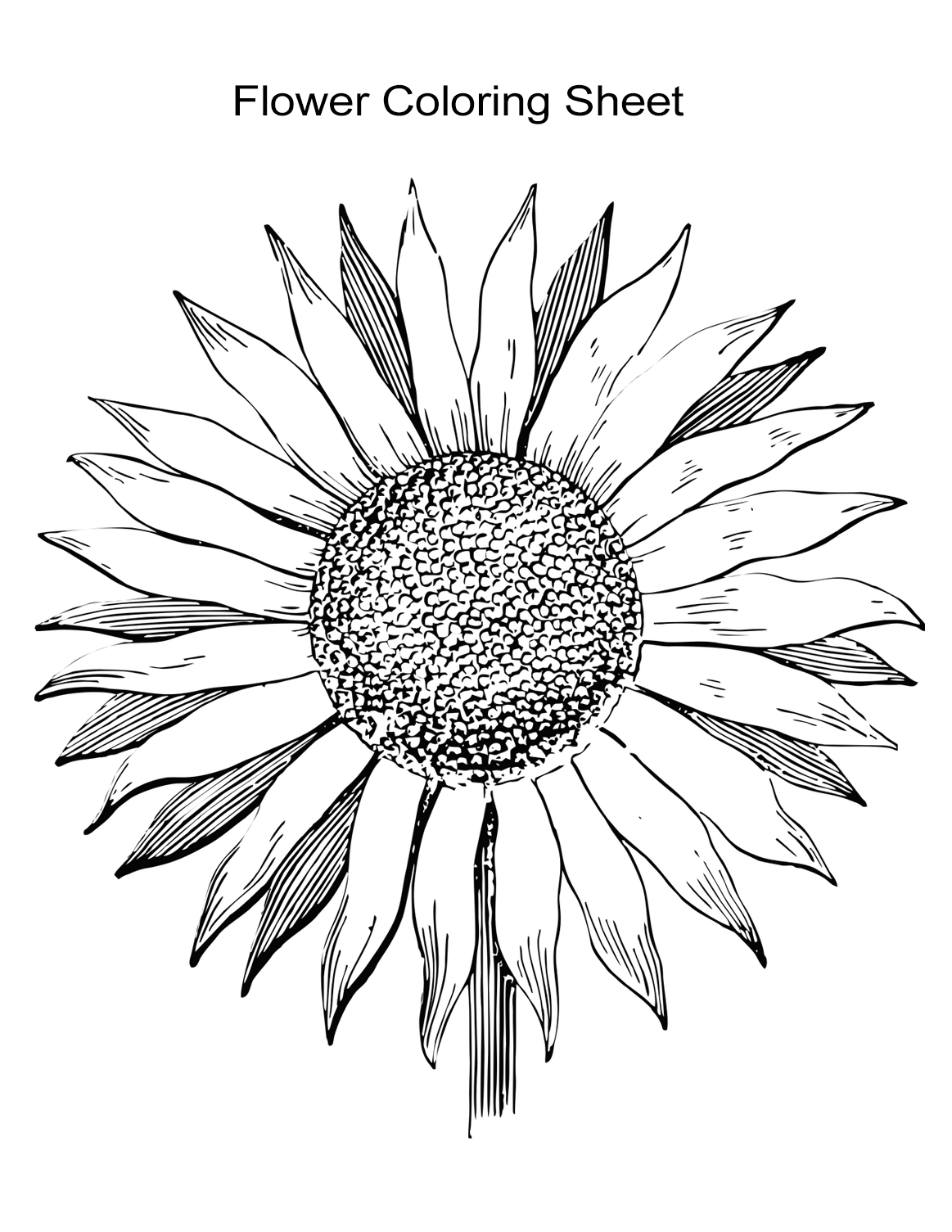 coloring pages for adults to print flowers 10 flower coloring sheets for girls and boys all esl print coloring flowers adults for pages to 