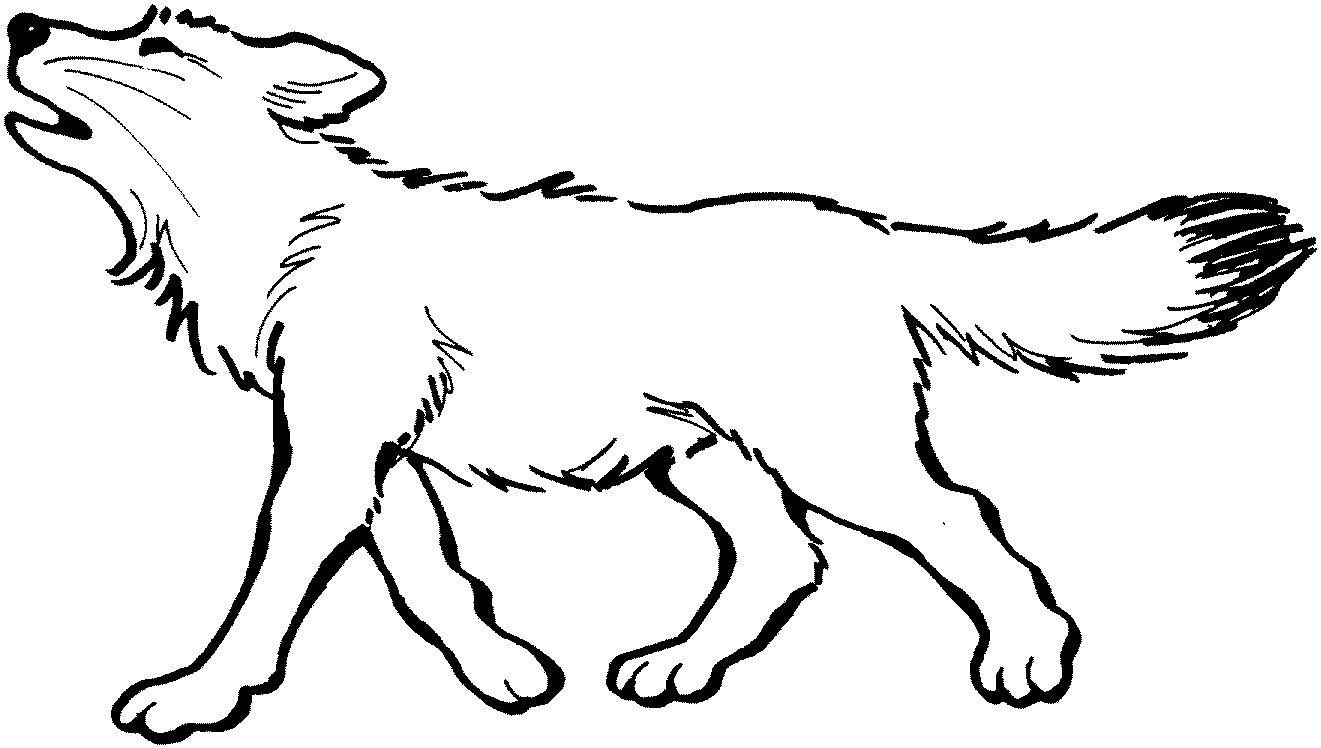 coloring pages of a wolf free printable wolf coloring pages for kids wolf pages of coloring a 