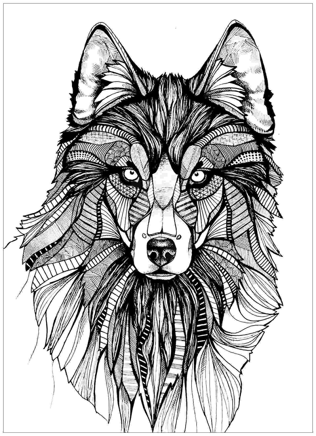 coloring pages of a wolf get the coloring page wolf free coloring pages for wolf a coloring pages of 