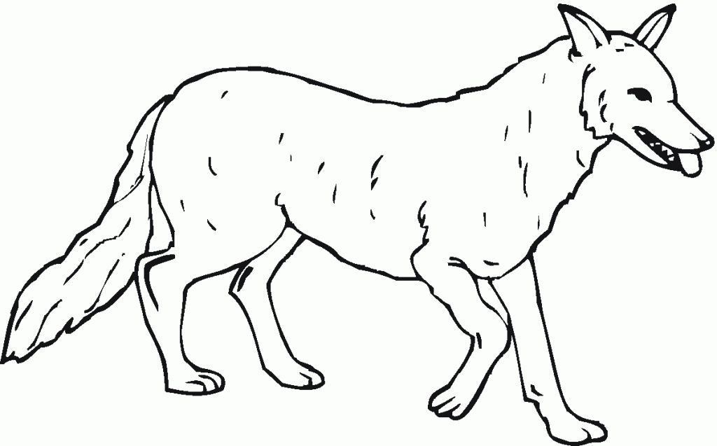 coloring pages of a wolf wolf coloring pages coloring pages to download and print wolf pages a coloring of 