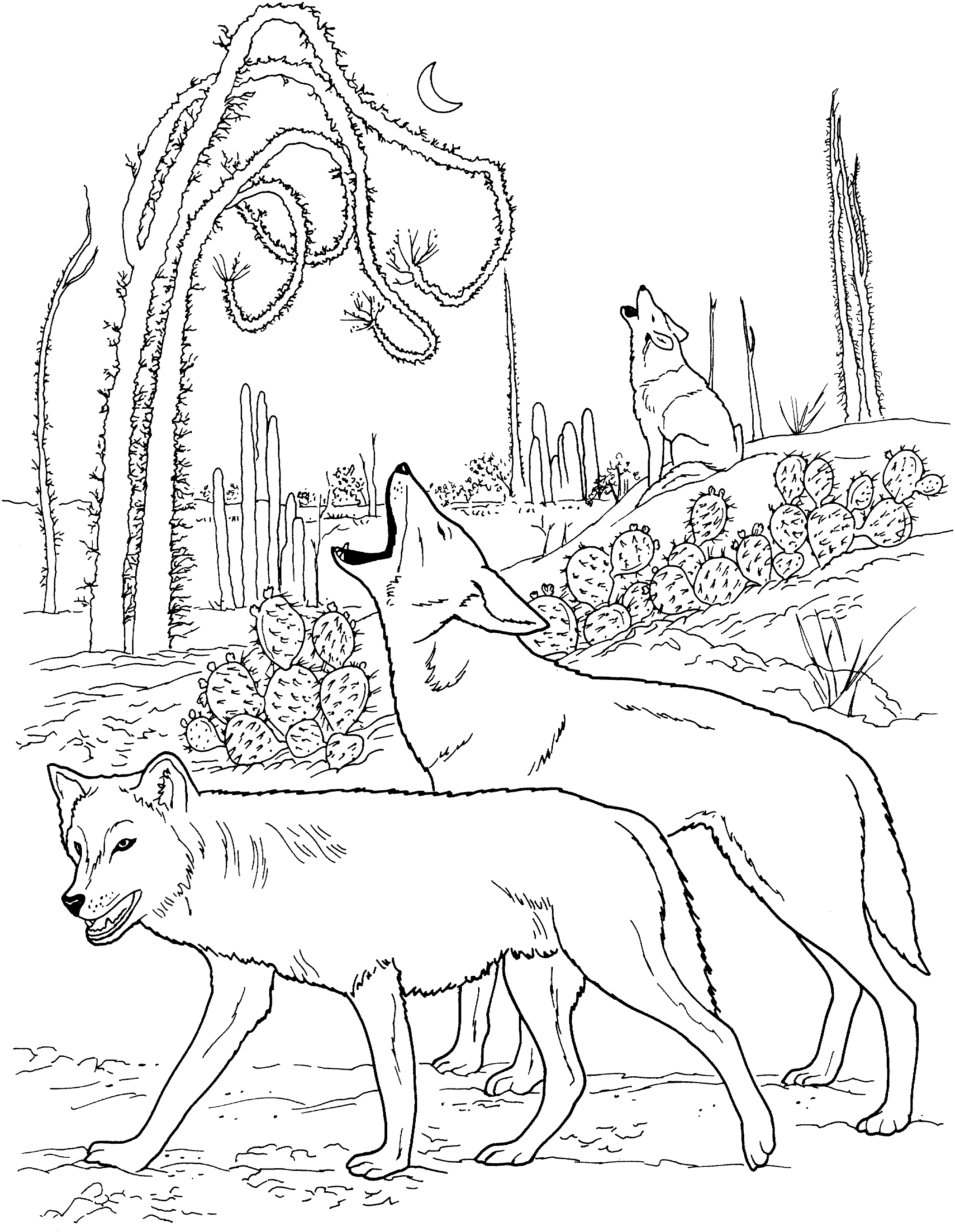 coloring pages of a wolf wolf howling moon coloring pages download and print for free a pages of wolf coloring 