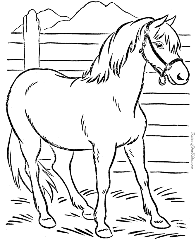 coloring pages of animals horses animal coloring page of horse to print animals coloring of pages horses 