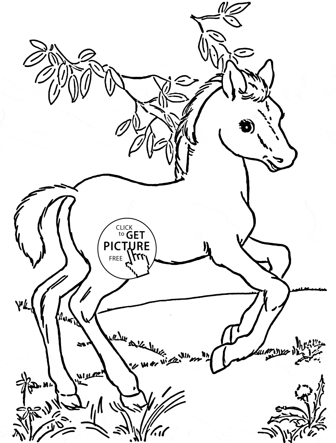 coloring pages of animals horses baby horse pony coloring page for kids for girls coloring horses animals coloring pages of 