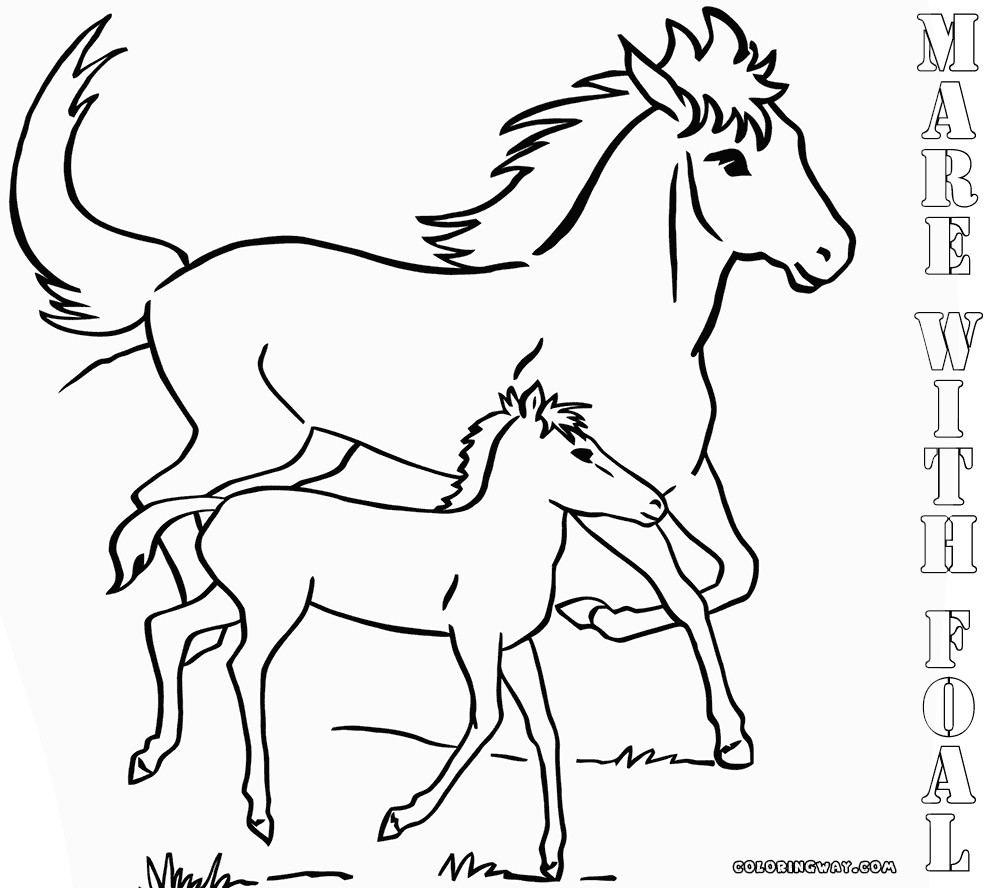 coloring pages of baby horses 77 best coloring pages images on pinterest coloring pages of baby coloring horses 