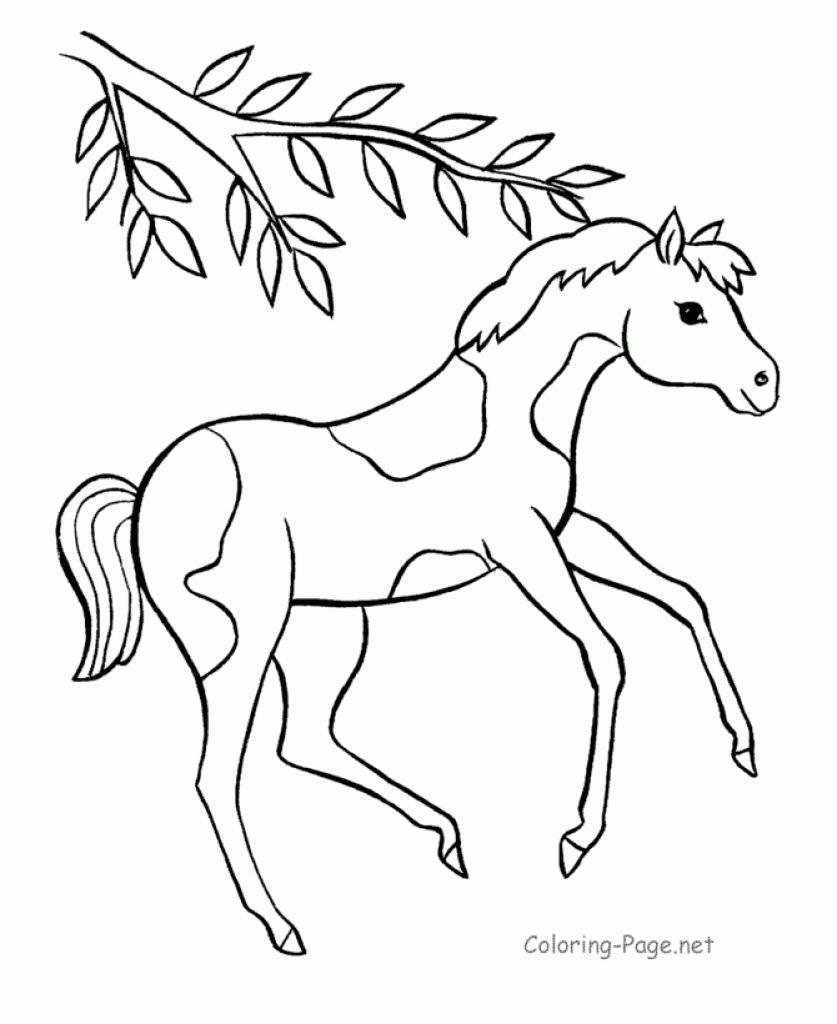 coloring pages of baby horses baby einstein horse coloring pages coloring pages for kids of coloring horses pages baby 